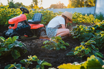 child girl admires the sunset standing on a pedal tractor in the backyard in the garden in the...