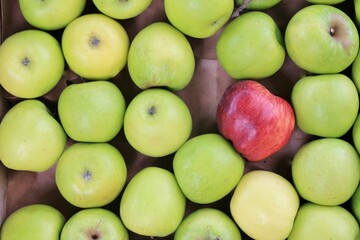green apples with 1 red odd one out, 1 special 