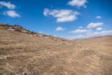 Landscape in Hustai National Park as known Khustain Nuruu National Park, Central Mongolia