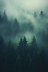 A dense fog engulfing a forest, creating a mysterious and ethereal ambiance. Generative AI.