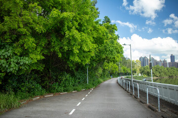 Along the road are lush green trees and blue skies with white clouds