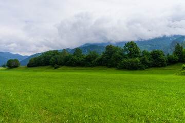 Green Scenic Alpine Meadow in Slovenia