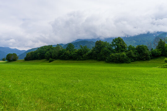 Green Scenic Alpine Meadow in Slovenia