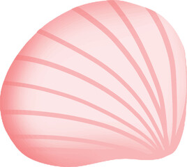 illustration of a pink shell