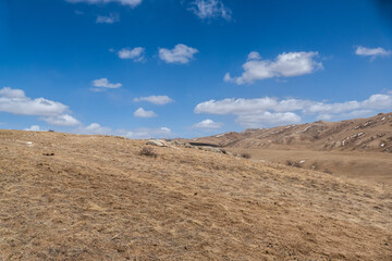 Landscape in Hustai National Park as known Khustain Nuruu National Park, Central Mongolia