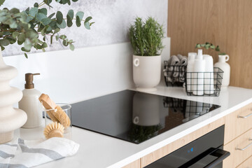 modern induction hob, houseplant and detergents on worktop