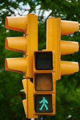 Traffic light with green led pedestrian walking
