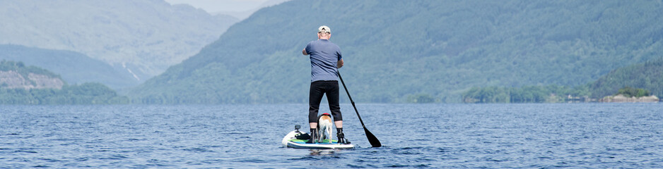 Single man on a stand up paddle board during a summer morning - obrazy, fototapety, plakaty