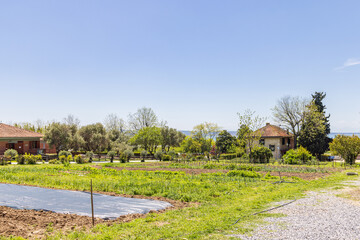 Fototapeta na wymiar Educational vegetable garden and green houses at American Farm School in Thessaloniki Central Macedonia in Greece