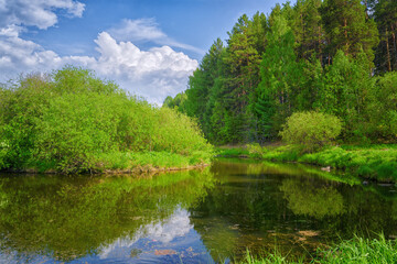 Fototapeta na wymiar Summer landscape with riverbank. Wonderful nature, beautiful natural background.