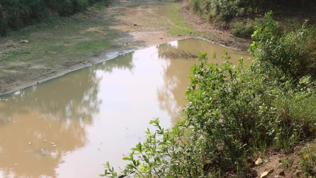 cannel in the jungle at Balurghat