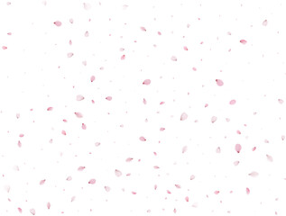 Flying Spring Sakura.