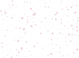 Flying Spring Sakura.