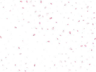 Flying Spring Sakura.