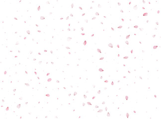 Flying Spring Sakura.