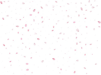 Flying Spring Sakura.