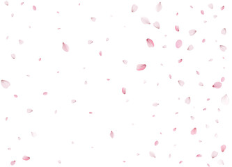 Flying Spring Sakura.