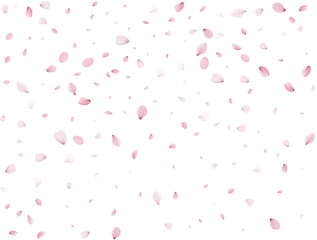 Flying Spring Sakura.