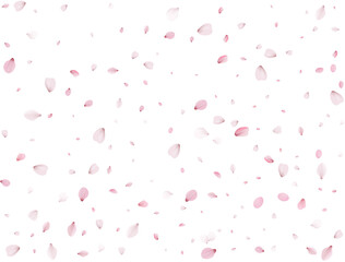 Flying Spring Sakura.