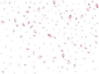 Flying Spring Sakura.