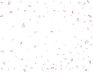 Flying Spring Sakura.