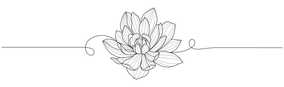 Line art vector illustration of flower, floral line art element design
