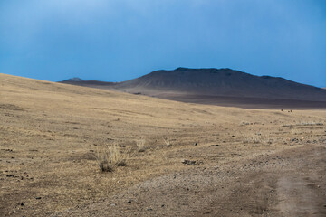Fototapeta na wymiar Landscape in Hustai National Park as known Khustain Nuruu National Park, Central Mongolia