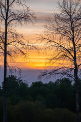 Sunset view through tree branches without leaves. Nature background