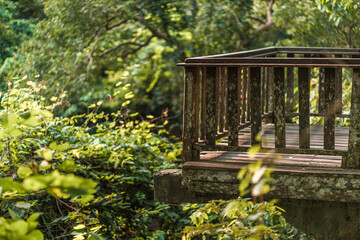 Close up shot of balcony in heart of jungle with nature background. Balcony view in sacred monkey forest sanctuary