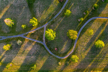 Top down of a foot path in the park