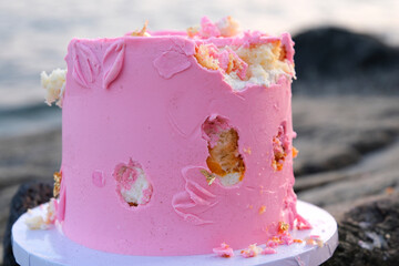 bitten pink cake on stones by the ocean or the sea to celebrate in nature the mice ate the children pecked with their fingers a delicious dessert