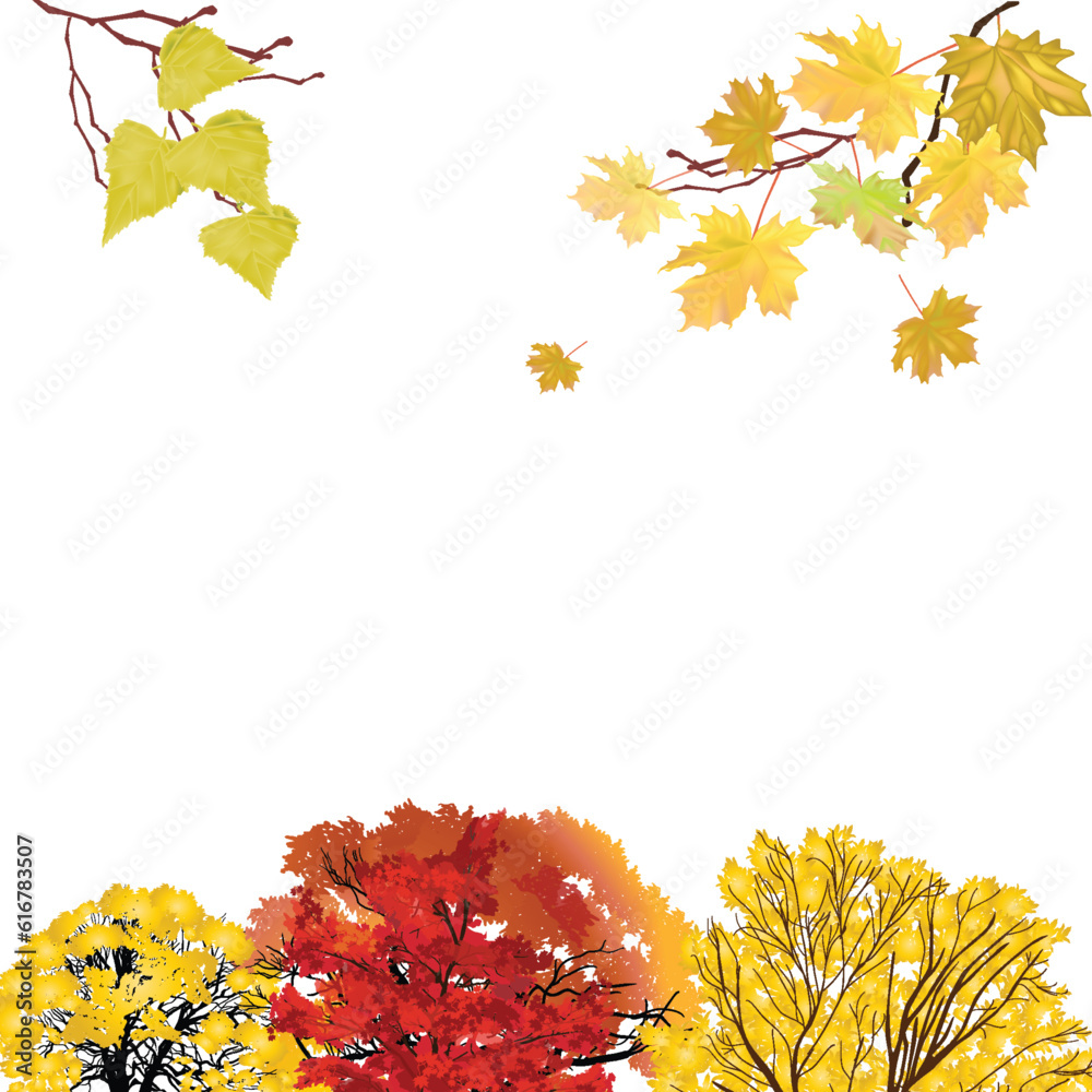 Canvas Prints autumn trees and branches group isolated on white