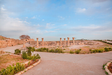 Fototapeta premium Citadel complex in Amman, Jordan. Ancient ruins of roman buldings. Beautiful sunny day. 