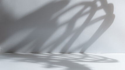 Abstract grey studio background for product presentation, copy space	

