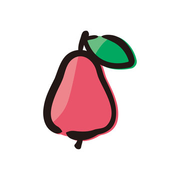 Java apple - Fruits icon/illustration (Hand-drawn line, colored version)