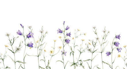 Seamless border of meadow, forest flowers. Campanula patula, little bell, bluebell, rapunzel. Rabelera holostea, stellaria.Watercolor hand painting illustration on isolate white background.
