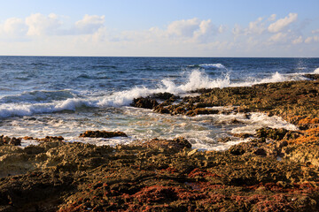 Fototapeta na wymiar A Rocky Beach with Waves Crashing Against the Shore and Seaweed-Covered Rocks