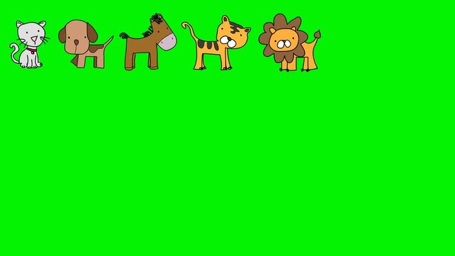 cartoon animals background Sketch and 2d animation set, collections, green screen, wildlife, animated animals, cute animals character desgin