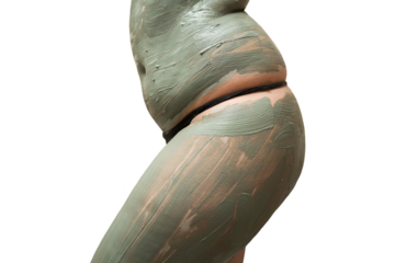 Mud spa procedure, woman applying cosmetic clay body mask, anti cellulite skincare concept