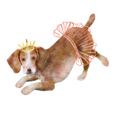 Adorable beagle dog in ballerina costume