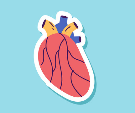 Heart internal organ sticker isolated concept. Vector design graphic illustration