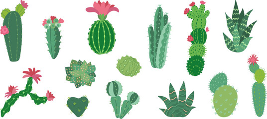 Flat mexican cactus, decorative cacti arizona desert. Succulents, home green decor with flowers. Isolated cactuses, floral nowaday cartoon vector set