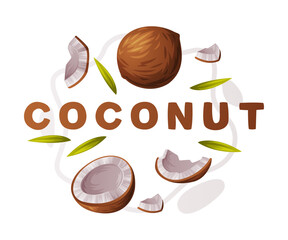 Coconut Product as Tropical Fruit and Organic Food Ingredient Vector Composition