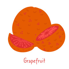 Grapefruit isolated hand drawn illustration on a white background. Simple poster and card