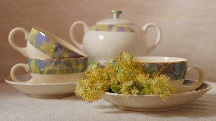 Fototapeta premium Medicinal plants - linden flower; Tilia tomentosa