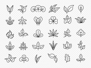 Leaf collection. Linear icons of natural leaf stylized templates recent vector garden symbols