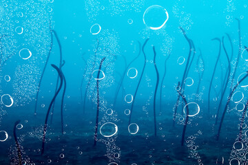 garden of eels underwater, eel sand snake ocean