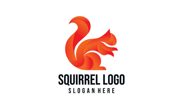 squirrel illutration vector logo design