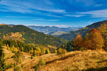 Fototapeta na wymiar Colorful autumn landscape scene with fence in Transylvania mountain