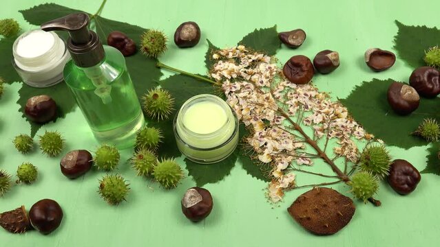 Therapeutic and cosmetic preparations on the basis of horse chestnut placed on the horse chestnut leaves and inflorescence, seeds and green spiky fruits, green background